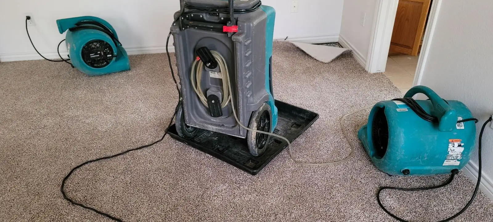 Air movers and a dehumidifier drying a carpeted room after water damage